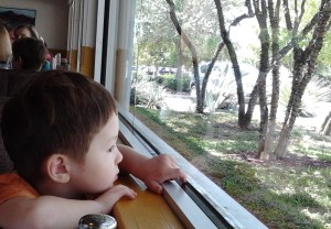 Harrison Lost in Thought