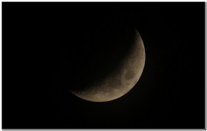 Moon Photo
