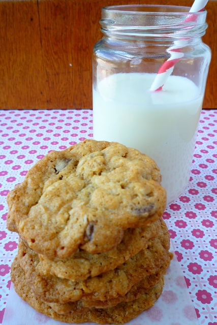 Coconut Oatmeal Chocolate Chip Cookies5