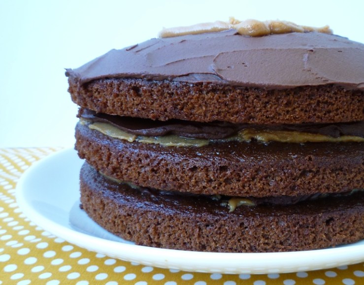 Chocolate Peanut Butter Cake 2