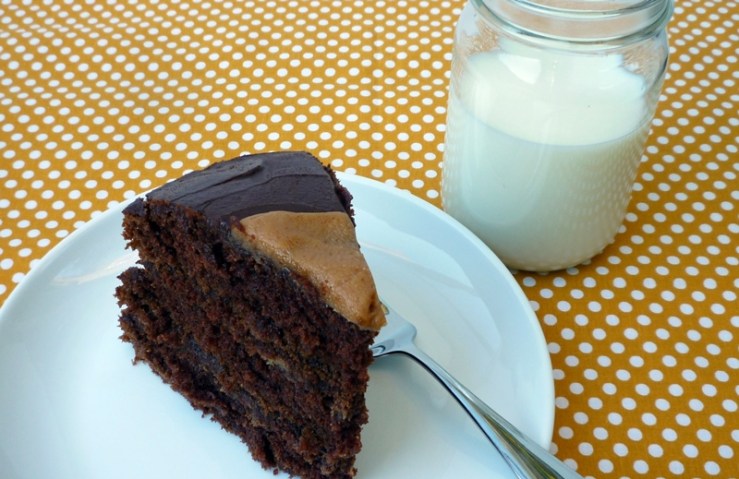 Chocolate Peanut Butter Cake 3
