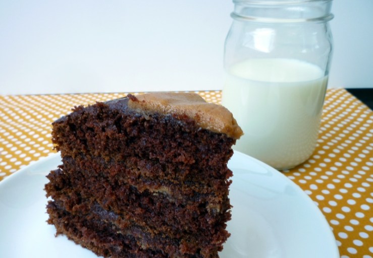 Chocolate Peanut Butter Cake 5