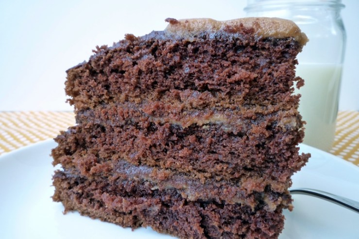 Chocolate Peanut Butter Cake 6