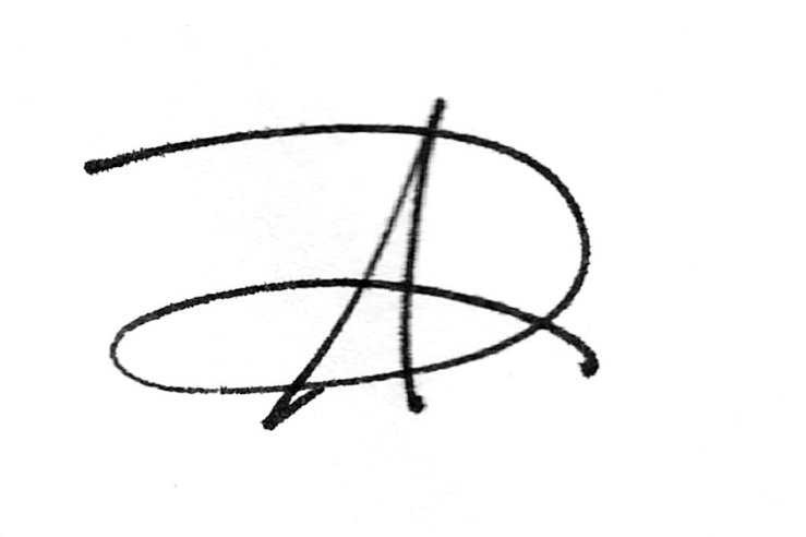 Logo Idea 1